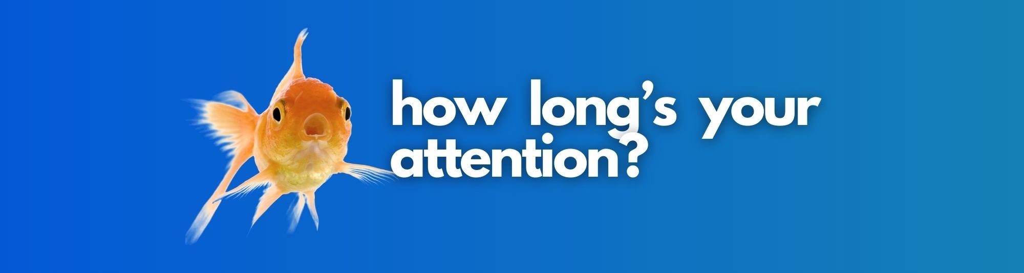 Decoding Our Dwindling Attention Spans